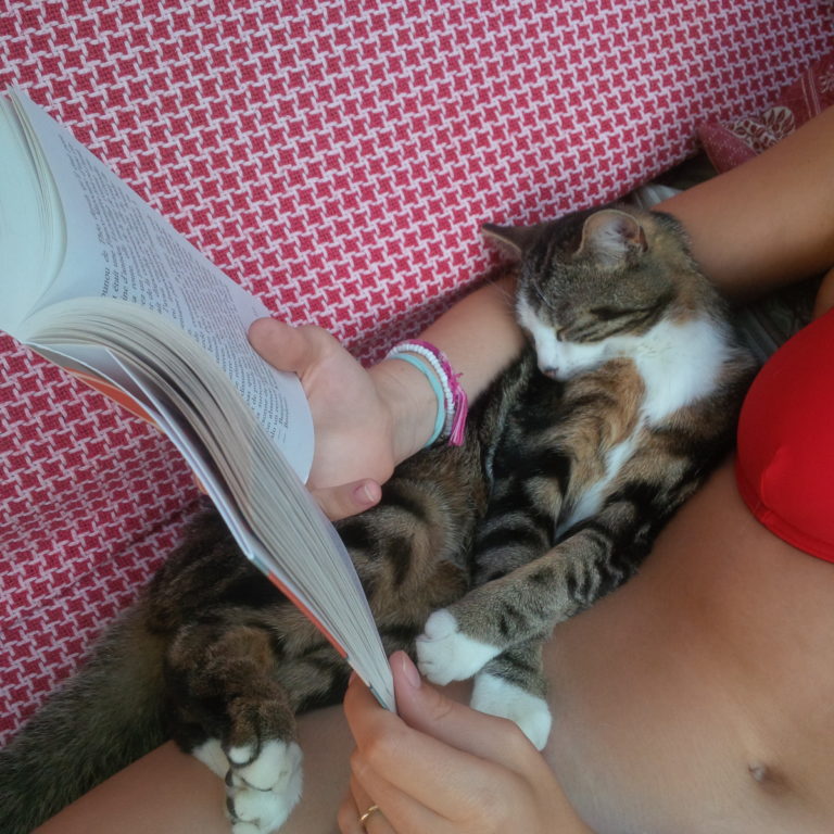 Lire la suite à propos de l’article Chronique de bouts d&rsquo;été