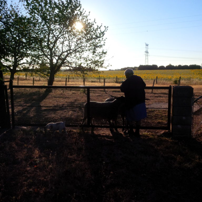 Lire la suite à propos de l’article Chronique d&rsquo;une fin d&rsquo;été
