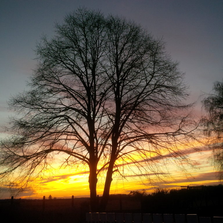 Lire la suite à propos de l’article Chronique depuis les premières marches de janvier