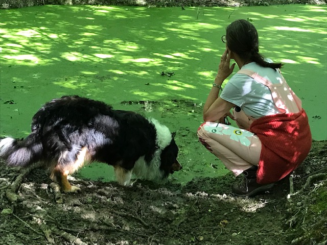 Lire la suite à propos de l’article Chronique depuis un plateau printanier