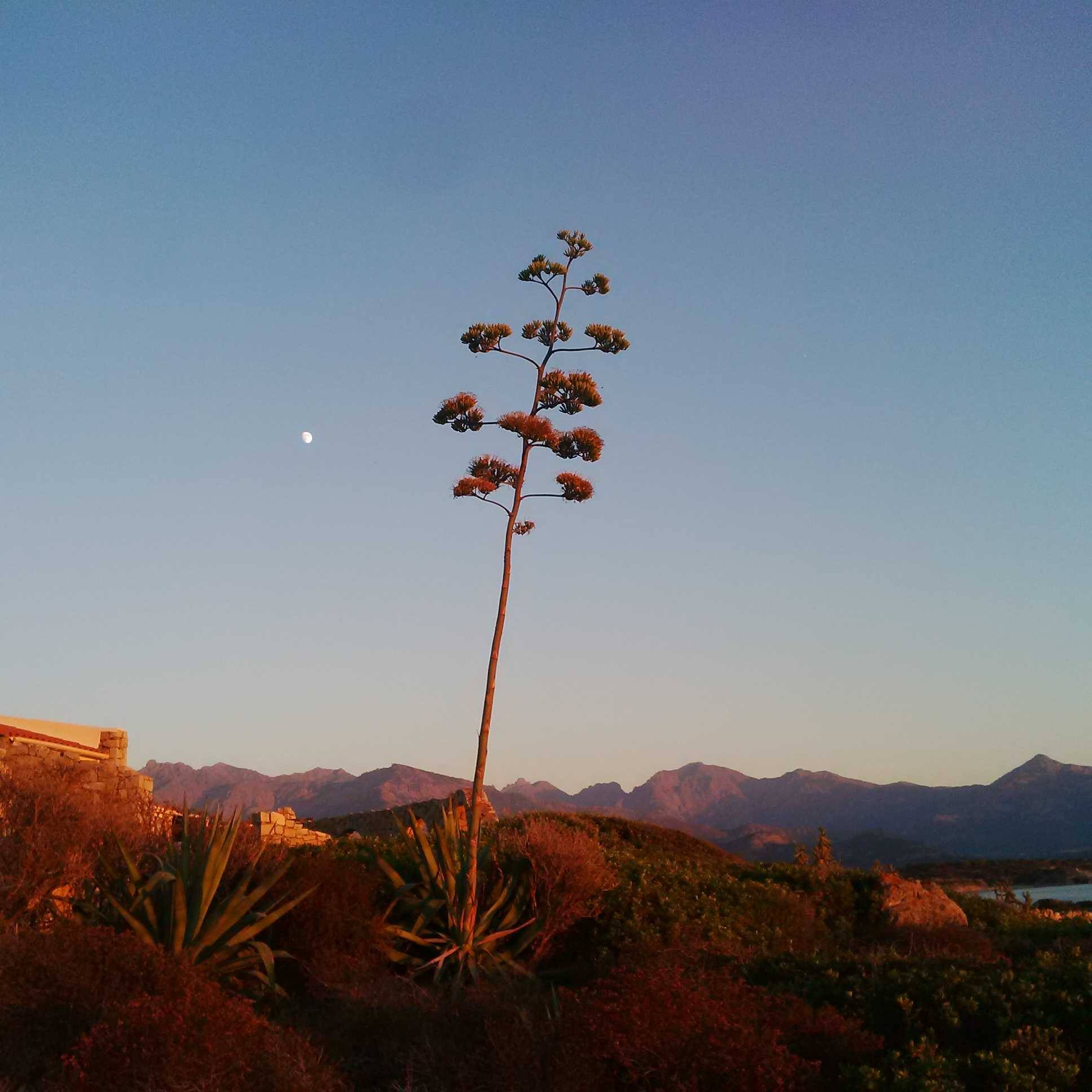 You are currently viewing Chronique d&rsquo;un été qui s&rsquo;étire