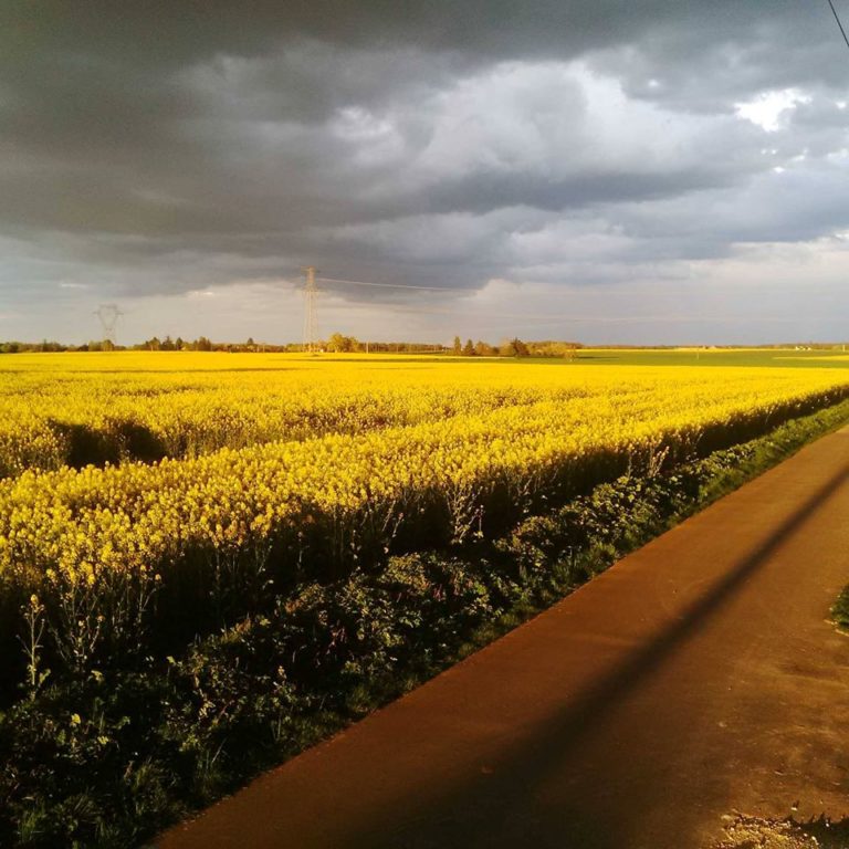 Lire la suite à propos de l’article Chronique d&rsquo;un été bien avancé