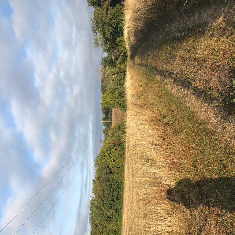 Lire la suite à propos de l’article Chronique d&rsquo;un plateau pleurant la pluie