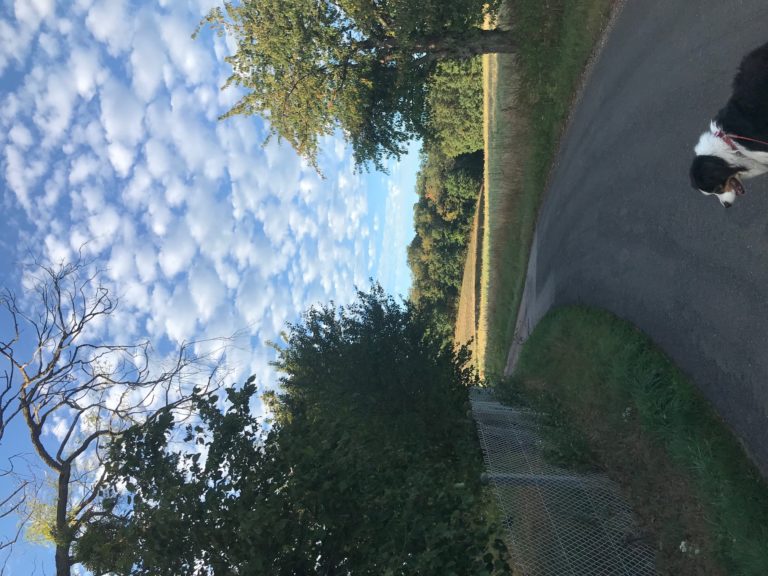 Lire la suite à propos de l’article Chronique autour de la rentrée depuis le plateau