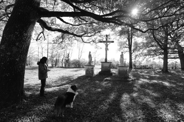 Lire la suite à propos de l’article Chronique d&rsquo;un cabinet de sophrologie à réinventer