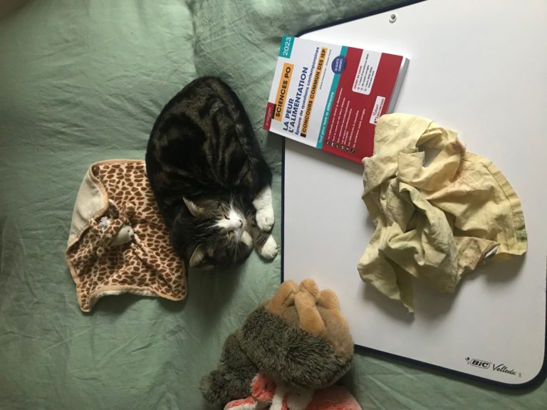 Lire la suite à propos de l’article Chronique post épreuves de spécialités