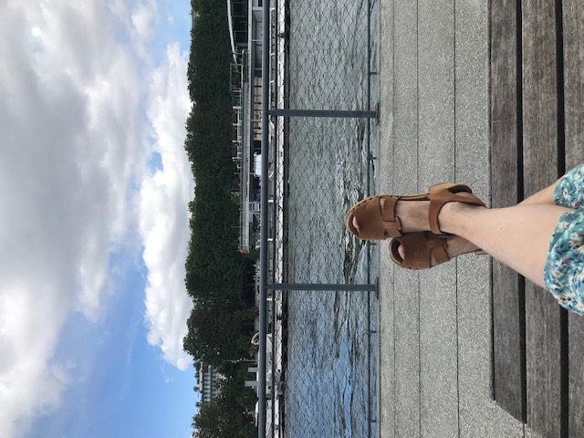 Lire la suite à propos de l’article Chronique estivale et parisienne