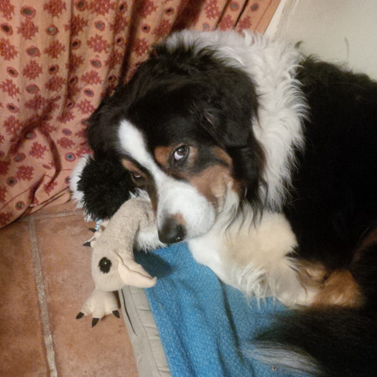 Lire la suite à propos de l’article Chronique à l&rsquo;heure de remiser les sabots