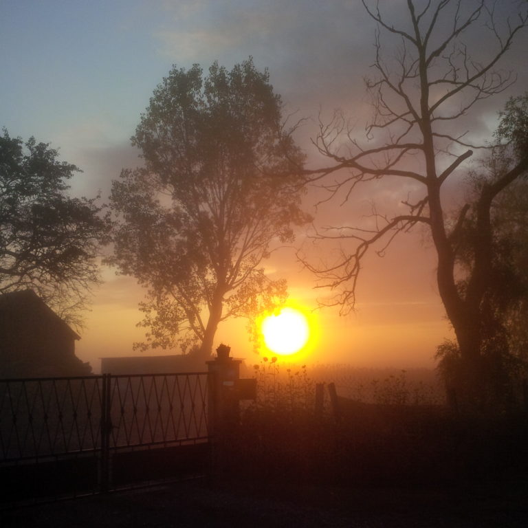 Lire la suite à propos de l’article Chronique de notre dix-huitième rentrée sur le plateau