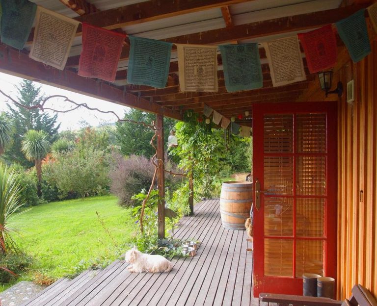 Lire la suite à propos de l’article Chronique de retrouvailles