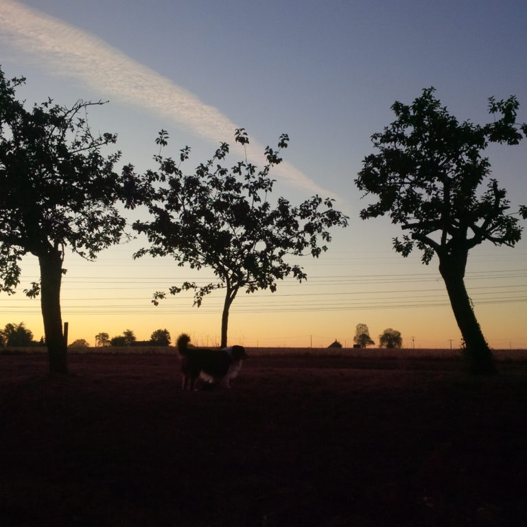 Lire la suite à propos de l’article Chronique cinématographique