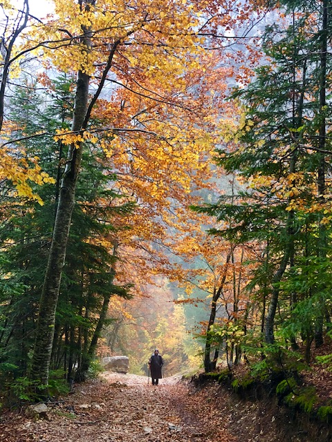 Lire la suite à propos de l’article Chronique d&rsquo;une escapade dans le Vercors
