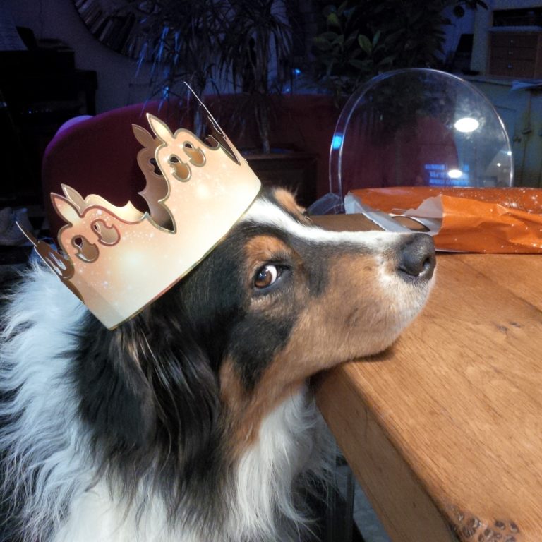 Lire la suite à propos de l’article Chronique du dernier jour de janvier