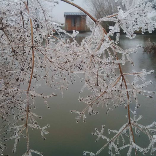 Lire la suite à propos de l’article Chronique depuis la huitième marche de l&rsquo;année