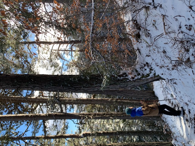 Lire la suite à propos de l’article Chronique d&rsquo;une respiration dans le Vercors