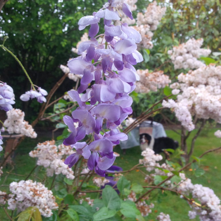 Lire la suite à propos de l’article Chronique Mont Athos