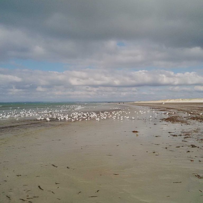 Lire la suite à propos de l’article Chronique à l&rsquo;approche d&rsquo;un séjour dans le Finistère