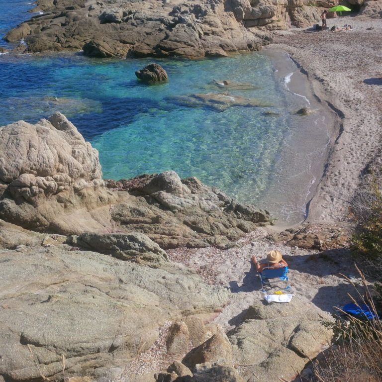 Lire la suite à propos de l’article Chronique d&rsquo;un été maussade sur le plateau