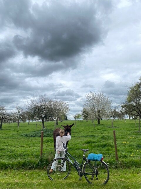 Lire la suite à propos de l’article Chronique depuis un plateau printanier